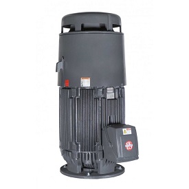 HT20P2BLE, 20HP, 1800 RPM, 230/460V, 256TP, 3PH, TEFC, Vertical Holloshaft
