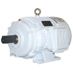 Oil Well Pump Motor, 50 HP, 1200 RPM, 230/460/796V, 404T Frame, Rigid Base, mdl# IOW50-12-404T