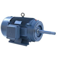 Close Coupled Motor, TEFC, 25 HP, 3600 RPM, 230/460V, 284JP Frame, C-Face with Feet, mdl# PEWWE25-36-284JP